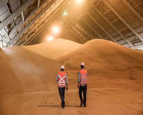 竹溪：党建强链让茶叶变“茶业”