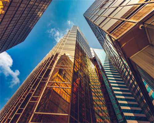 芳香滋补味津津：山户野山茶油