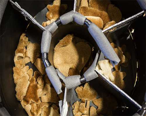 入庐山，品雾根茶