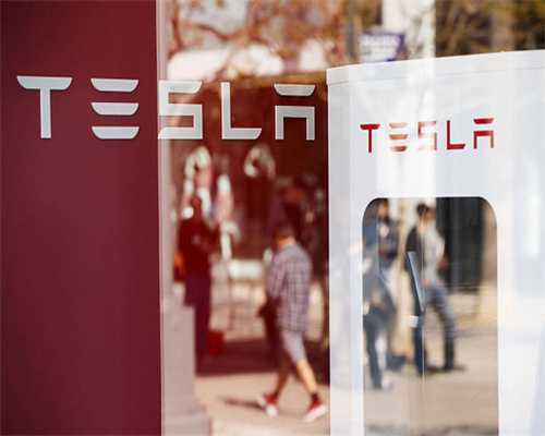 松桃平头镇：荒山变茶园秋冬管护忙