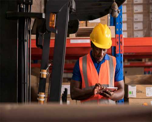 平凉这个地方能产茶