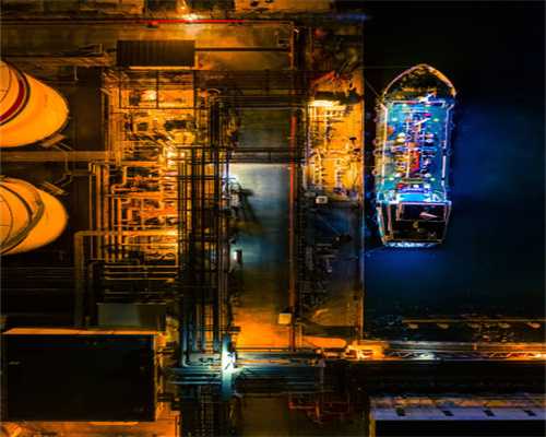 枸骨叶泡茶泡酒是个宝，当地称为“风湿”植物，哪些人群受益？