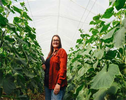 禧御贡茶，源自台湾的好味道