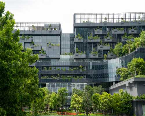 养生茶别这样喝，有人胃穿孔！看完才知道多危险……