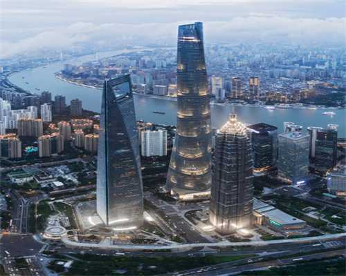 台湾12号金萱茶