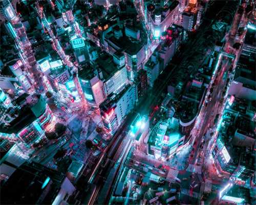 入庐山，品雾根茶