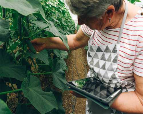 雀巢茶咖X阴阳师：打入年轻圈层玩转新消费主场