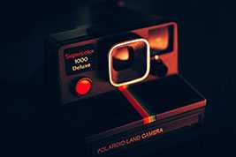 你了解洱茶中的“茶虫”吗？ 普洱茶的“茶虫