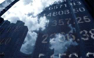 你了解洱茶中的“茶虫”吗？ 普洱茶的“茶虫