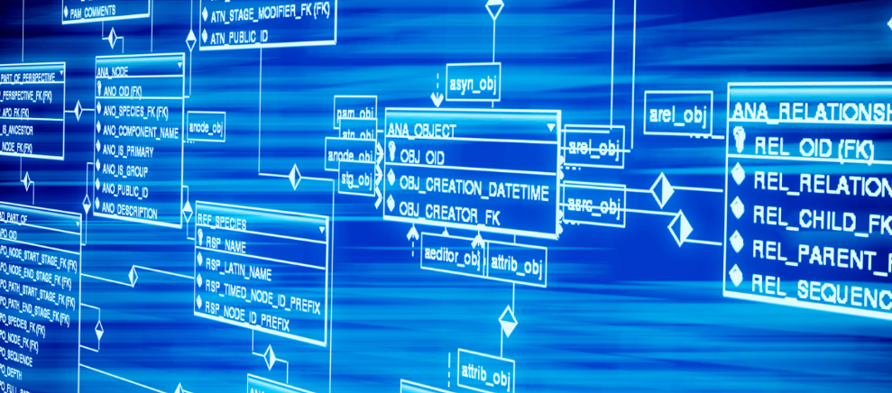 三道茶、烤茶、盐茶……白族民间饮茶中蕴含的养生知识你知道吗？