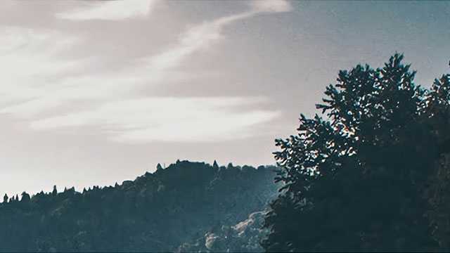 天尖茶、贡尖茶、生尖茶有哪些区别？