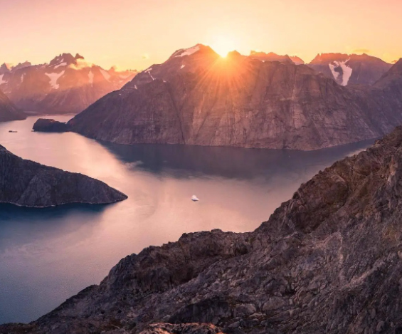 你了解洱茶中的“茶虫”吗？ 普洱茶的“茶虫