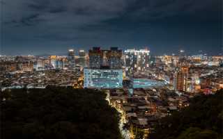 “寿宁乌茶”开茶节举行