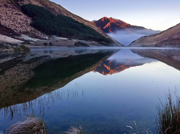 不懂茶，去茶叶店里应该怎么买茶？