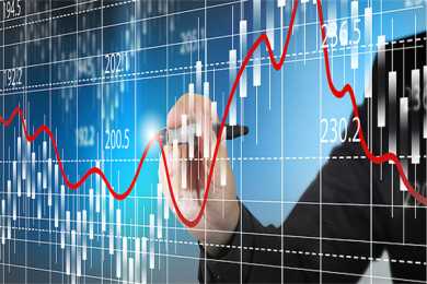 你了解洱茶中的“茶虫”吗？ 普洱茶的“茶虫