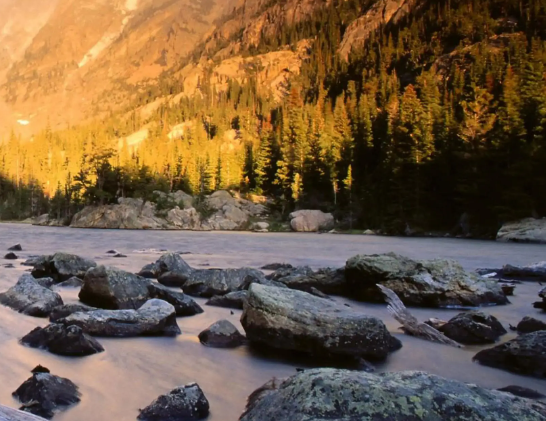 茶之妙道与茶之三美